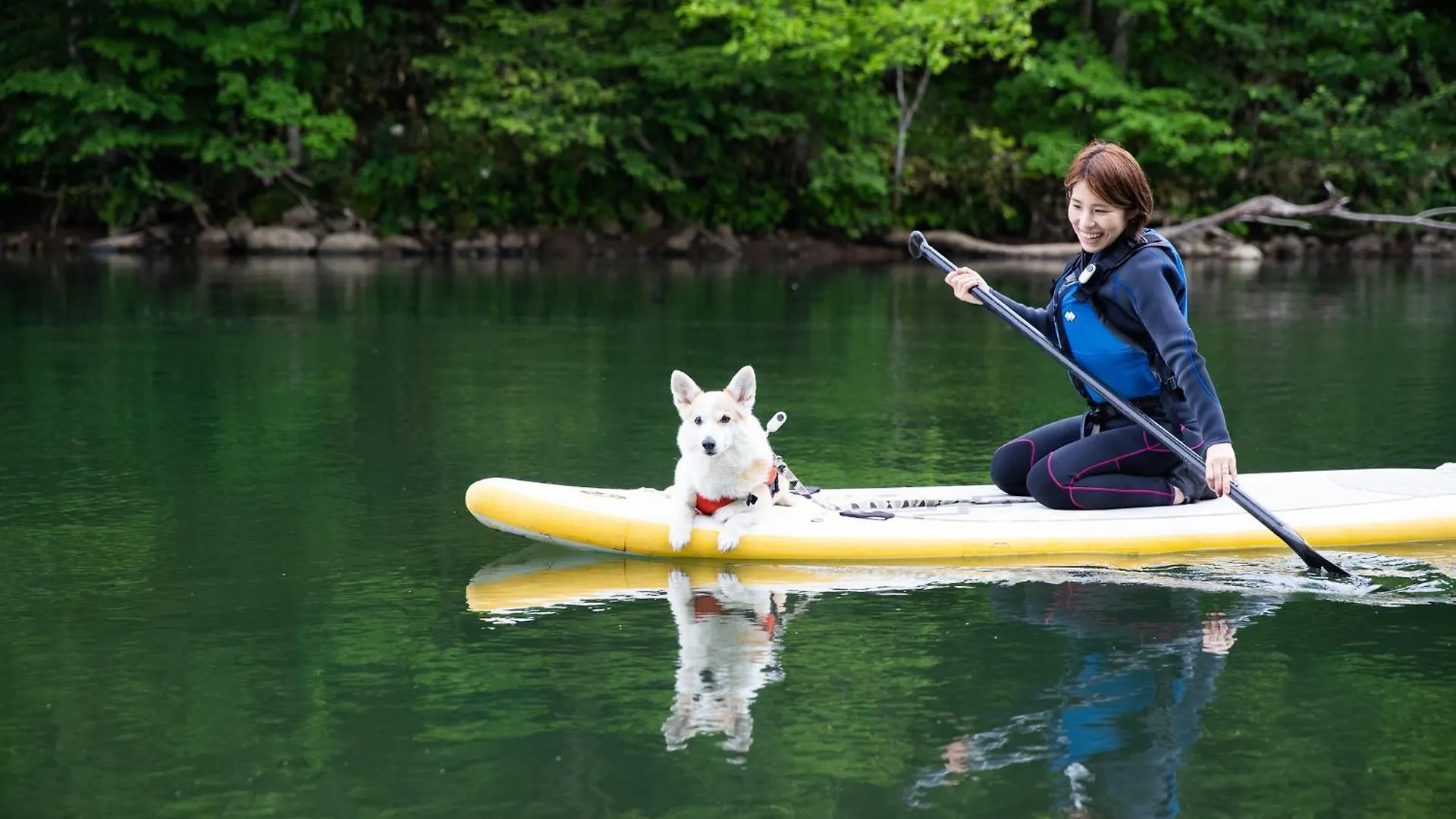 Sapphire Villa Kutchan Japan